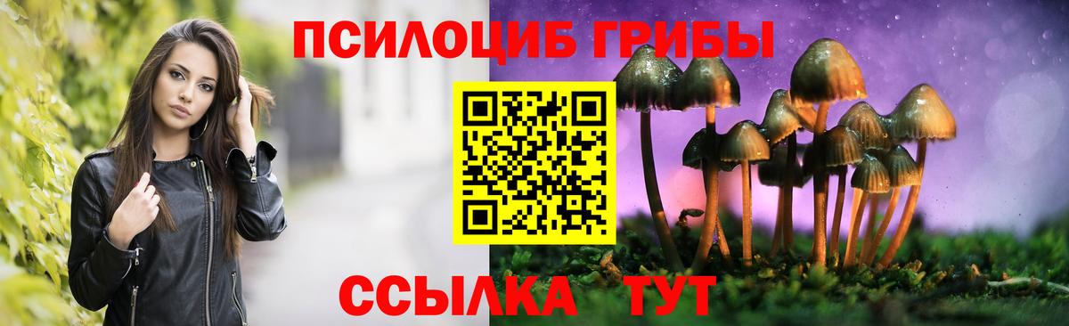 Псилоцибиновые грибы MAGIC MUSHROOMS  Вход с VPN  Галлюциногенные грибы Cubensis  Новочеркасск 